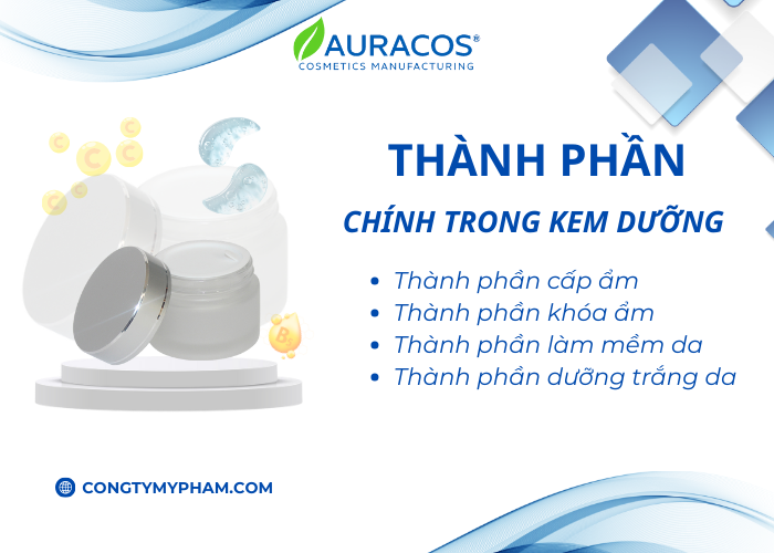 Một số thành phần chính thường có trong kem dưỡng
