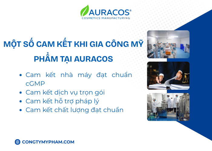 Một số cam kết chất lượng, an toàn và hỗ trọn gói tại Auracos